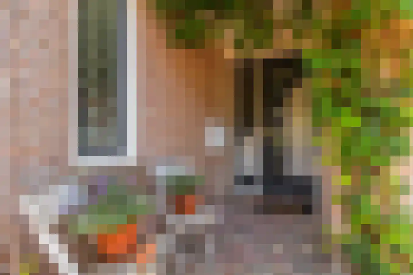 Molenkamp 29 Brakel thumbnail 5