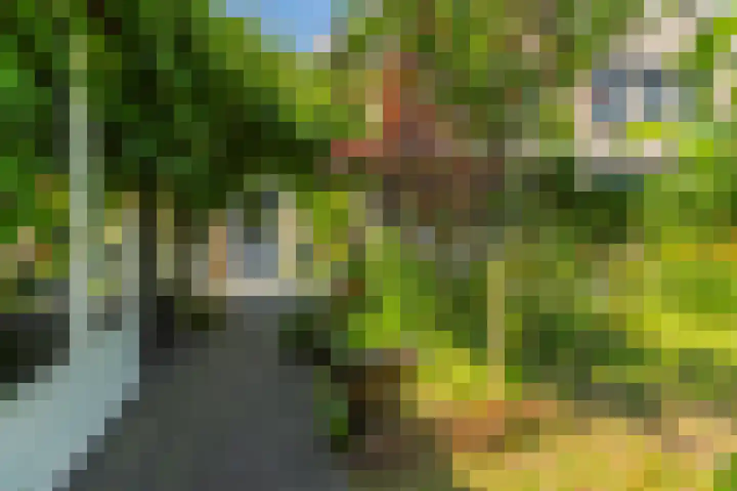 Molenkamp 29 Brakel thumbnail 51
