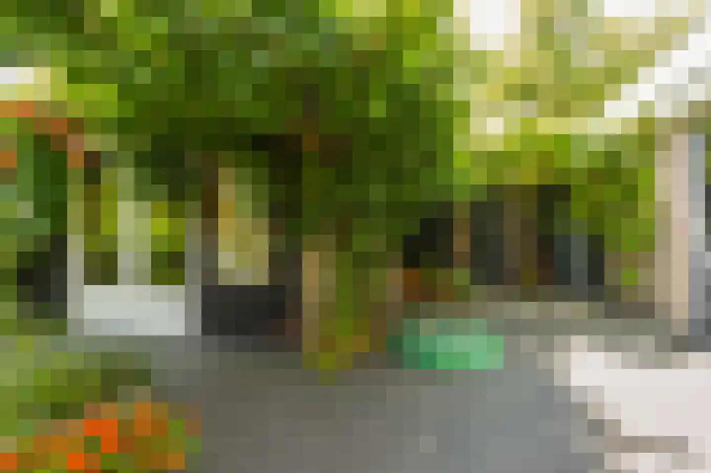 Molenkamp 29 Brakel thumbnail 52