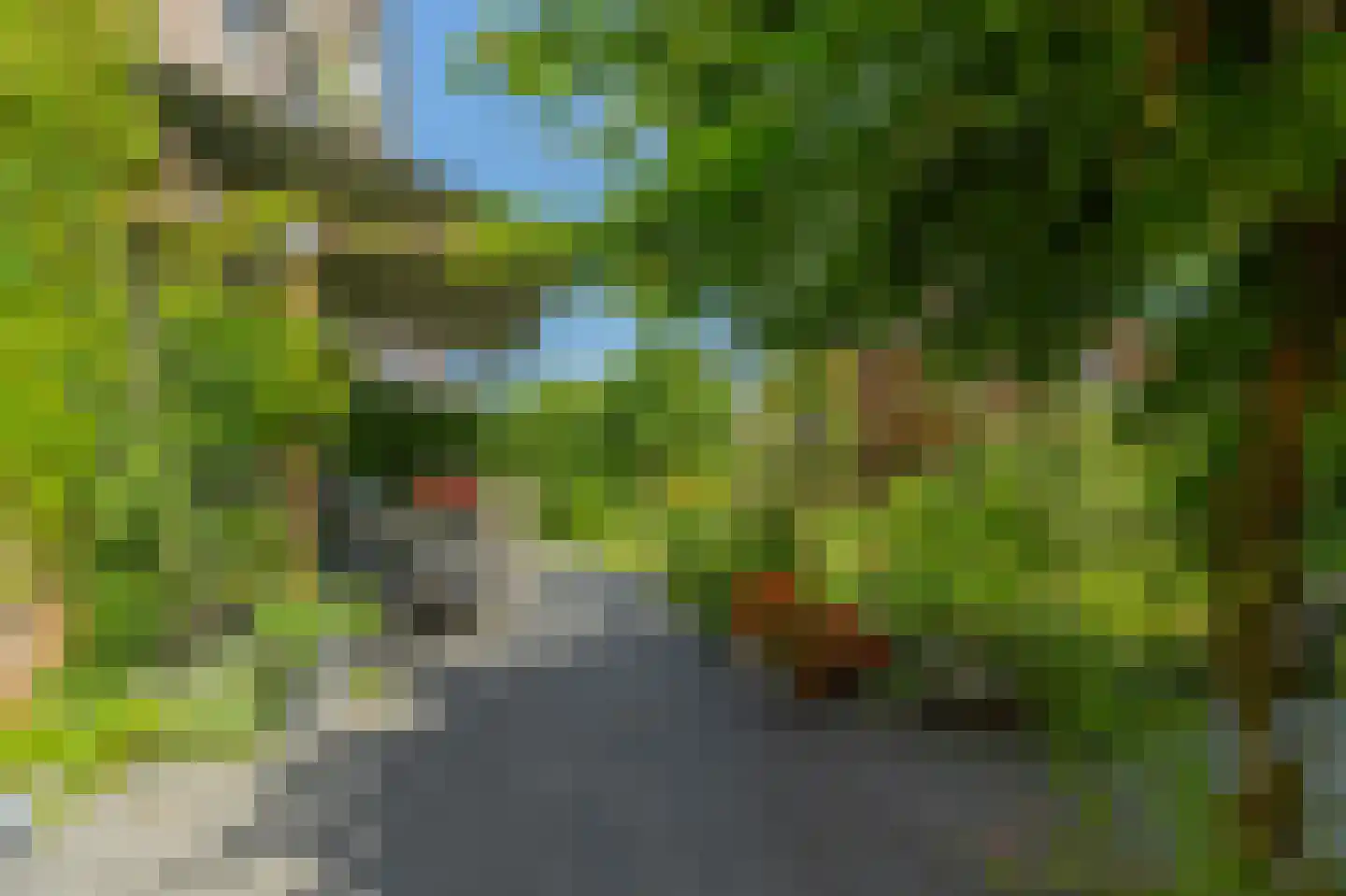 Molenkamp 29 Brakel thumbnail 53