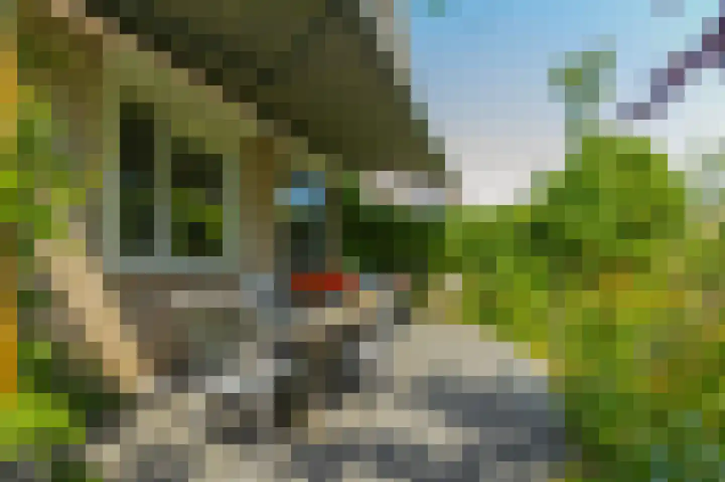 Molenkamp 29 Brakel thumbnail 54