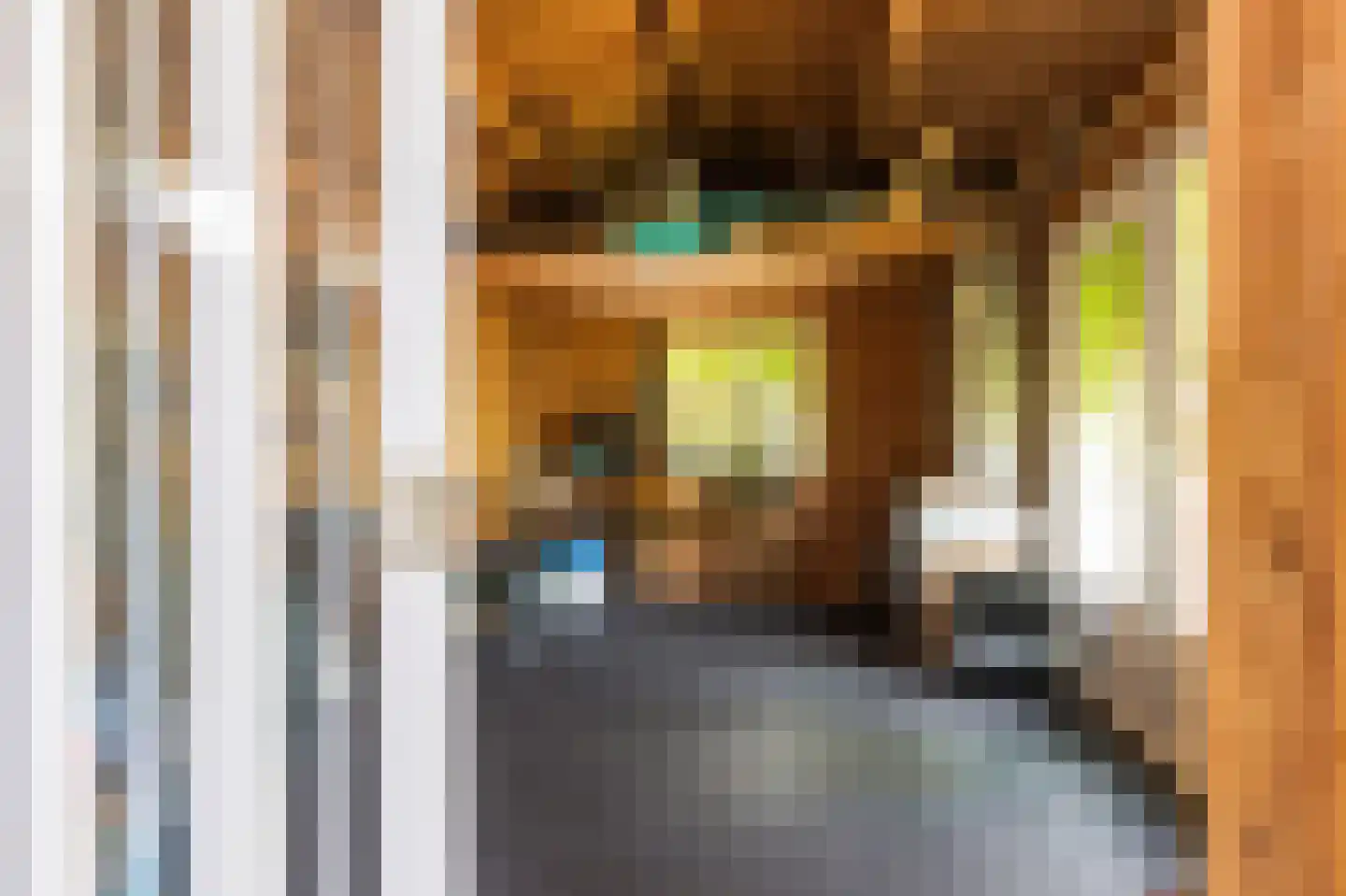 Molenkamp 29 Brakel thumbnail 55