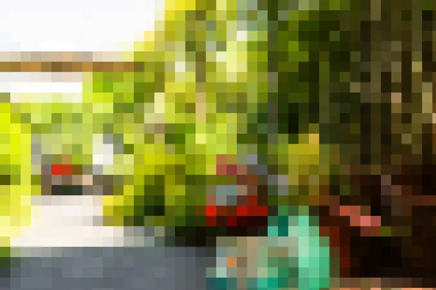 Molenkamp 29 Brakel thumbnail 57