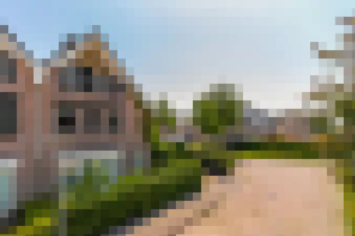 Molenkamp 29 Brakel thumbnail 59