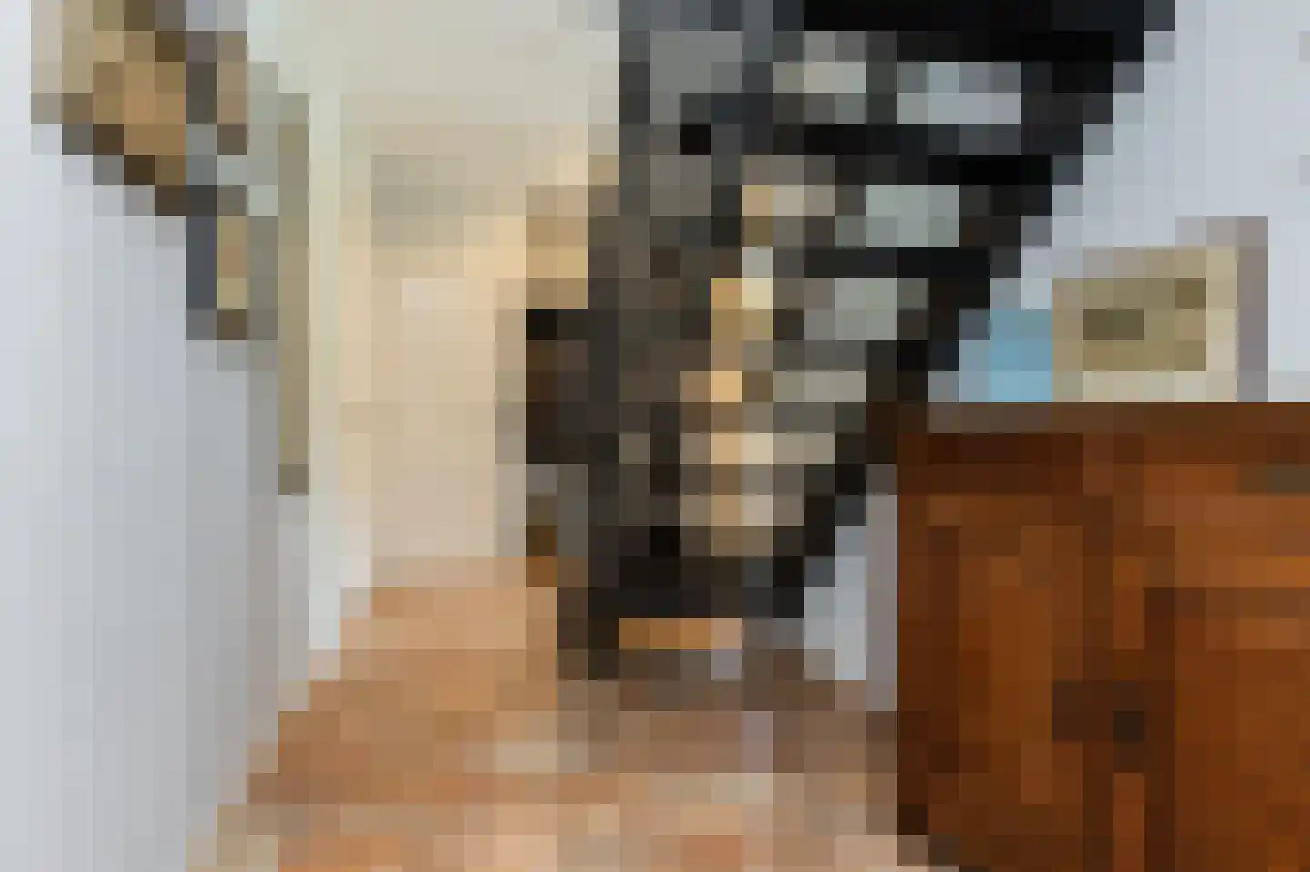 Molenkamp 29 Brakel thumbnail 6