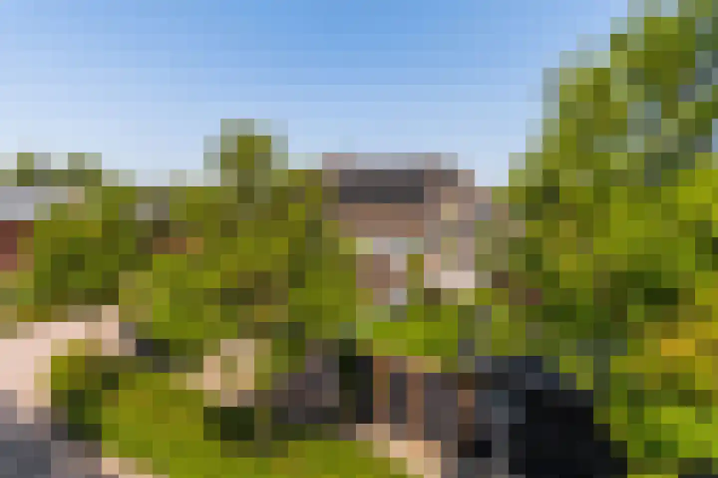 Molenkamp 29 Brakel thumbnail 60