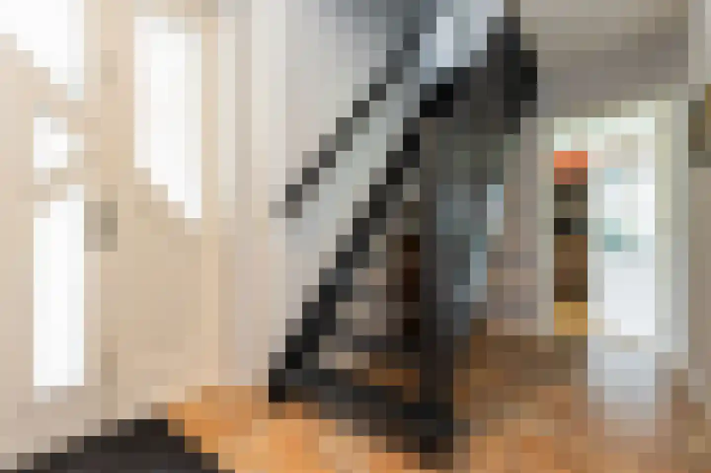 Molenkamp 29 Brakel thumbnail 7