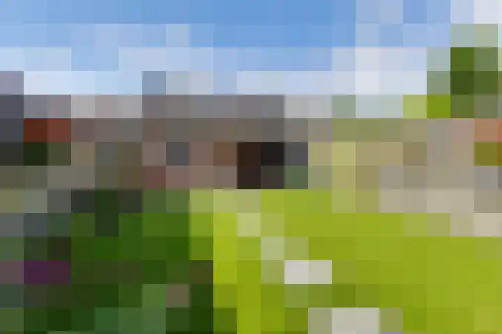Molenkamp 4 Aalten thumbnail 35