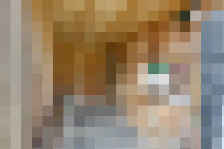Molenkamp 4 Aalten thumbnail 37