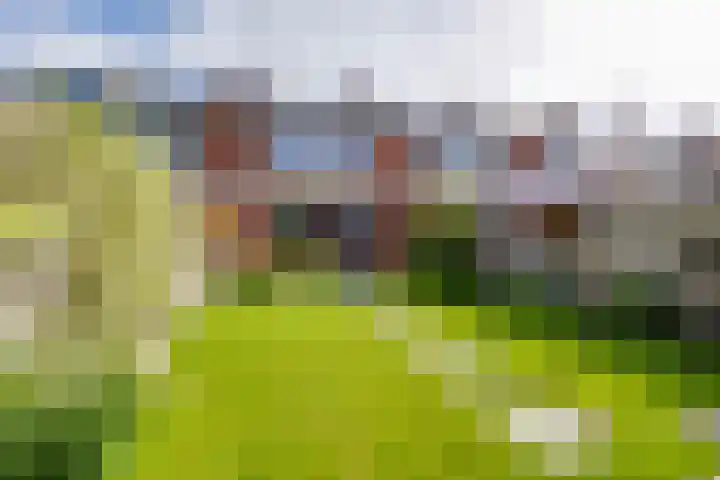 Molenkamp 4 Aalten thumbnail 39