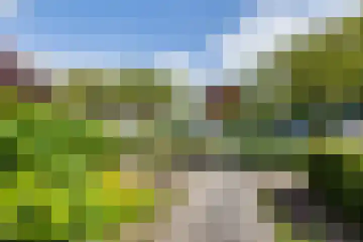 Molenkamp 4 Aalten thumbnail 40