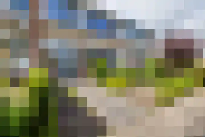 Molenkamp 4 Aalten thumbnail 41