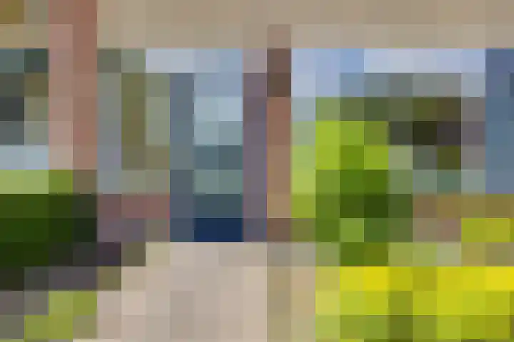 Molenkamp 4 Aalten thumbnail 6