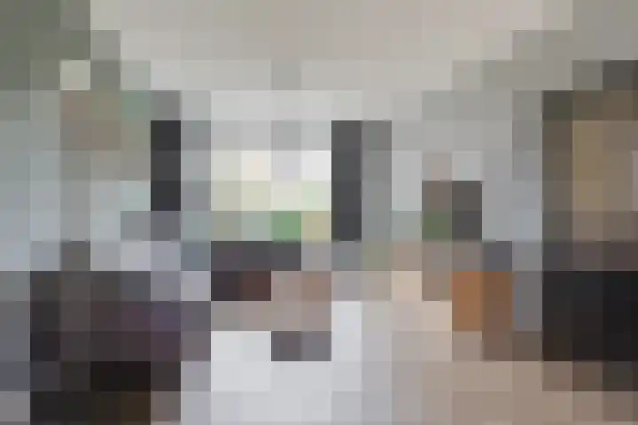 Molenkamp 4 Aalten thumbnail 8