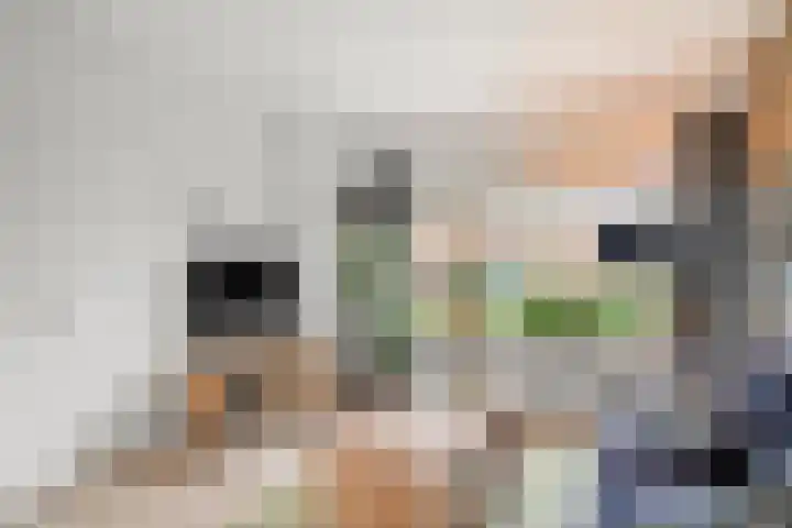 Molenkamp 4 Bennekom thumbnail 11