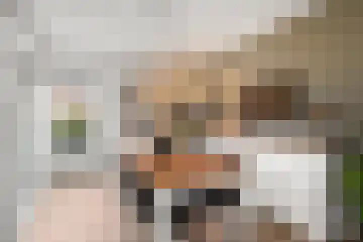 Molenkamp 4 Bennekom thumbnail 15
