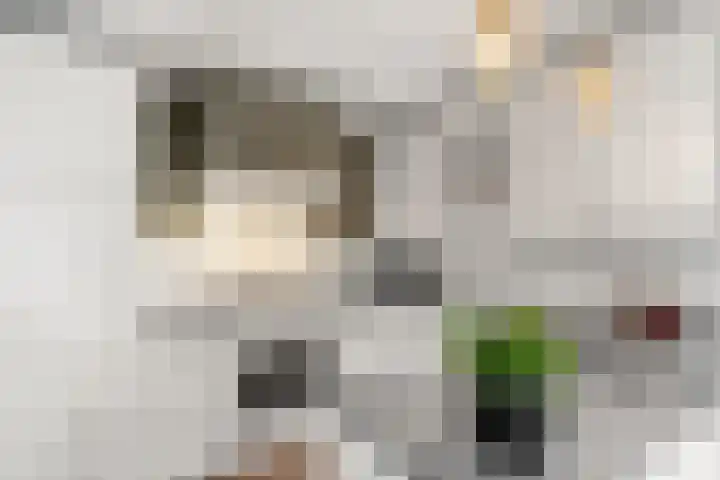 Molenkamp 4 Bennekom thumbnail 18