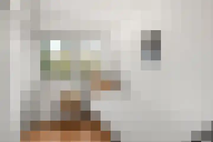 Molenkamp 4 Bennekom thumbnail 24