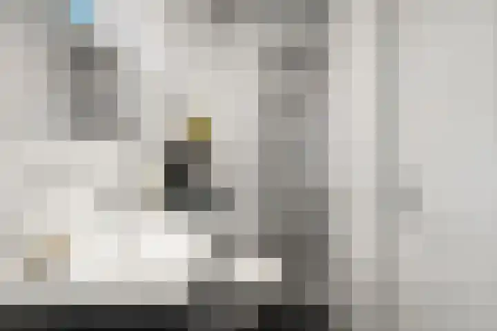 Molenkamp 4 Bennekom thumbnail 27