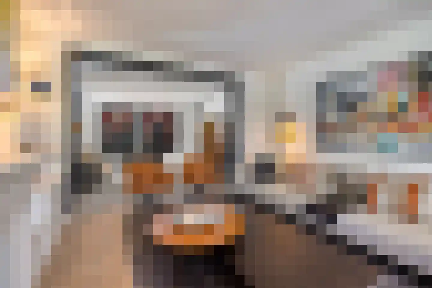 Molenkamp 6 Mierlo thumbnail 13