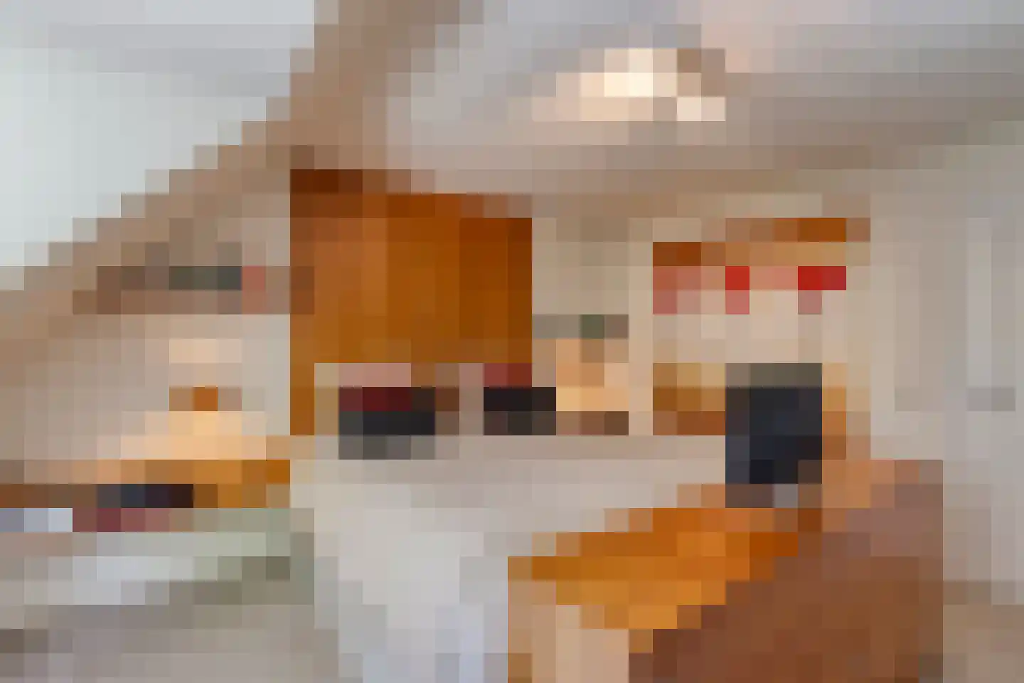 Molenkamp 6 Mierlo thumbnail 43