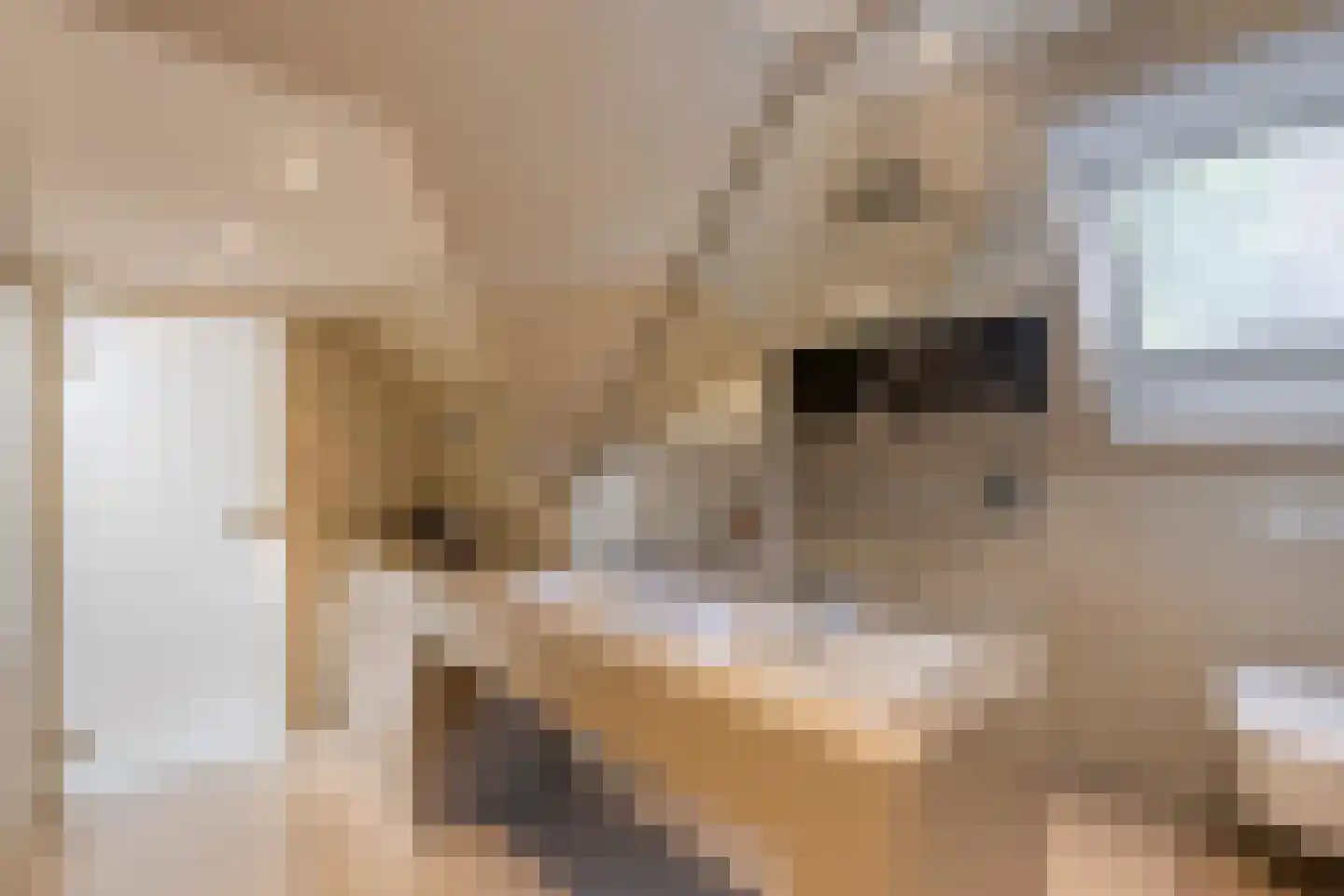 Molenkamp 6 Mierlo thumbnail 44