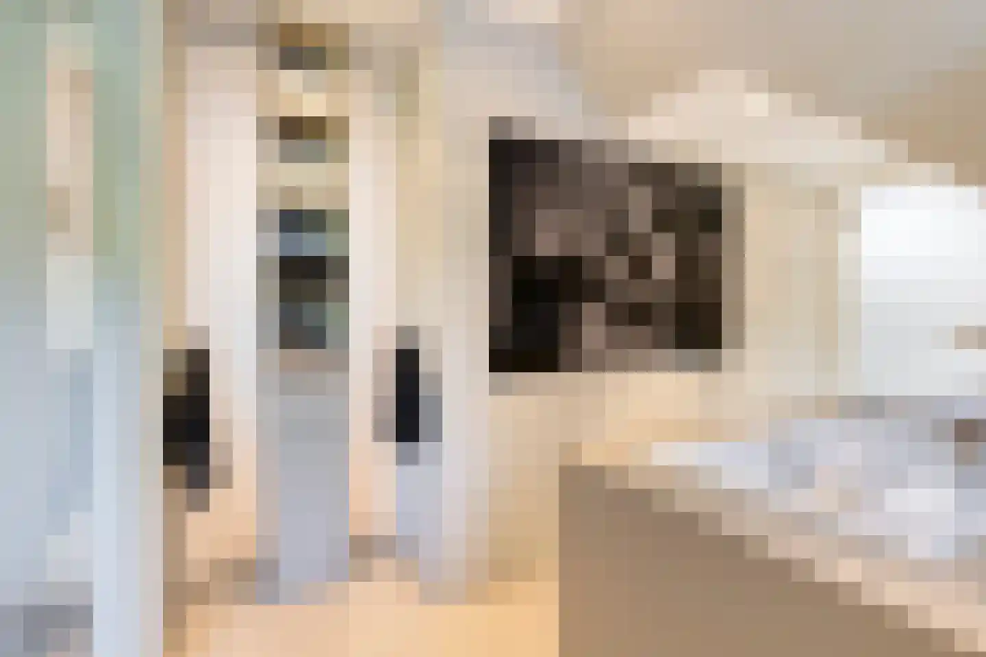Molenkamp 6 Mierlo thumbnail 46