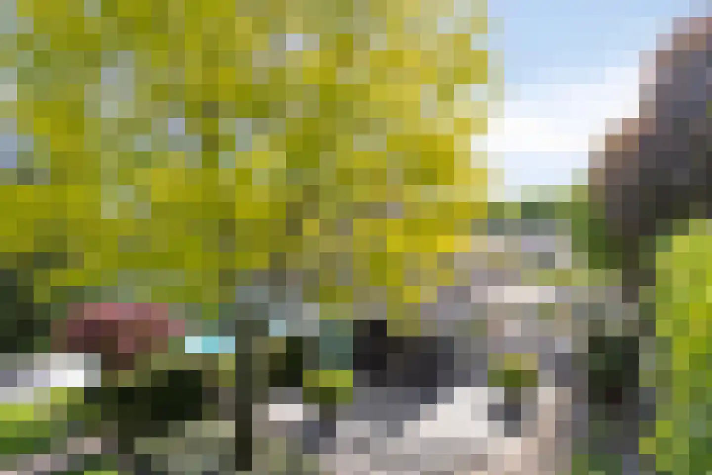 Molenkamp 6 Mierlo thumbnail 66
