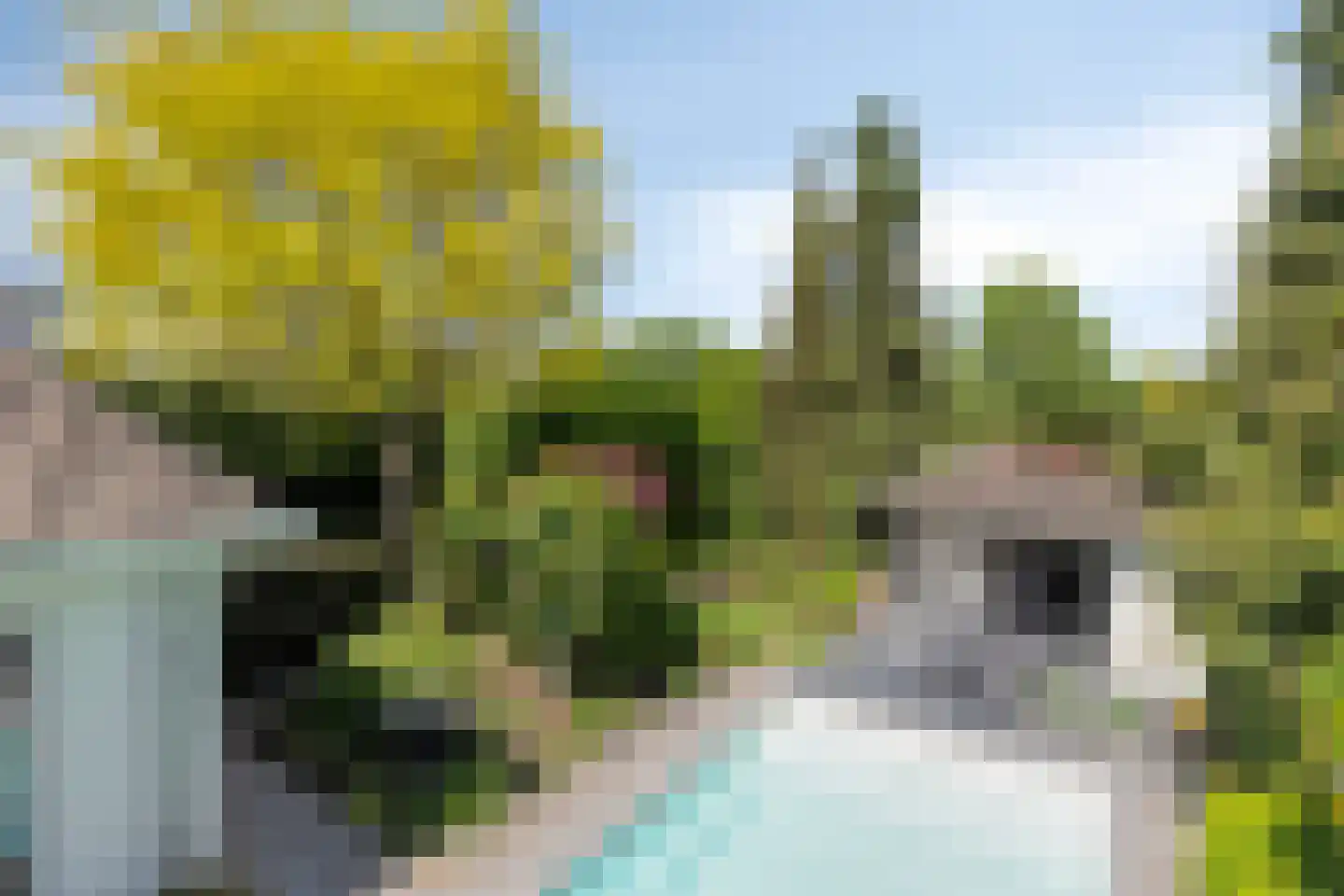 Molenkamp 6 Mierlo thumbnail 67