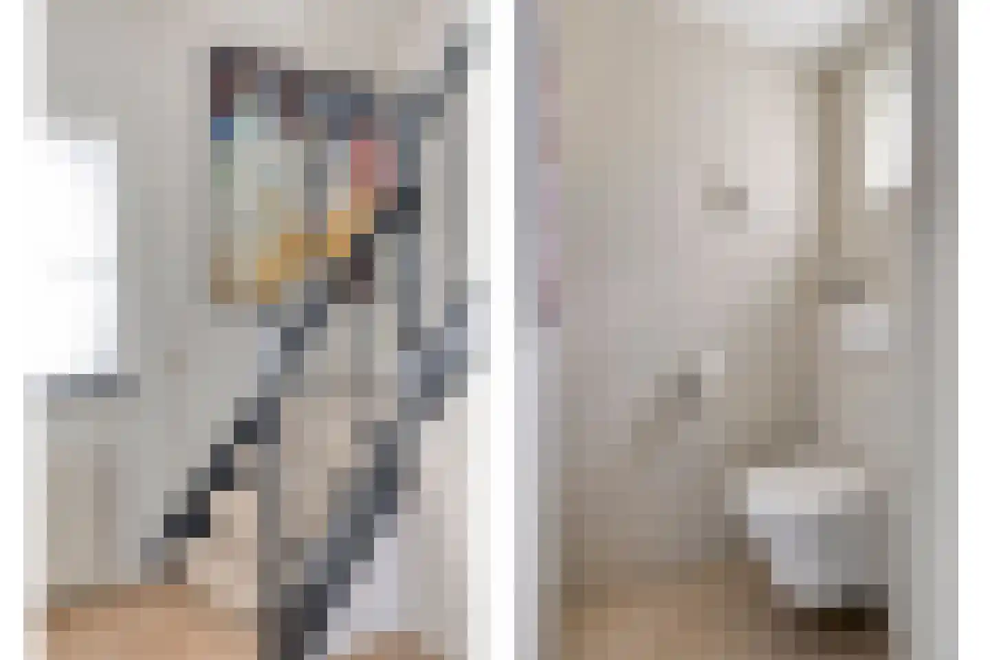 Molenkamp 6 Mierlo thumbnail 9