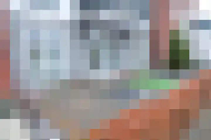 Molenkamp 66 Herwijnen thumbnail 13