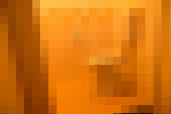 Molenkamp 66 Herwijnen thumbnail 8
