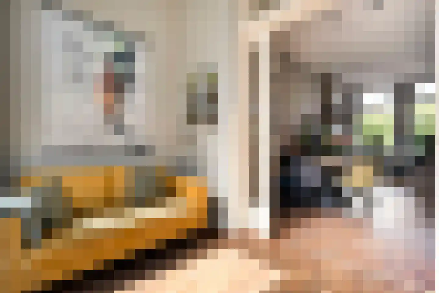 Molenkampspark 26 Almelo thumbnail 19