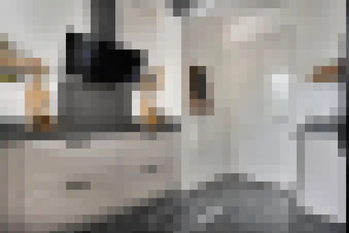 Molenkampspark 26 Almelo thumbnail 21