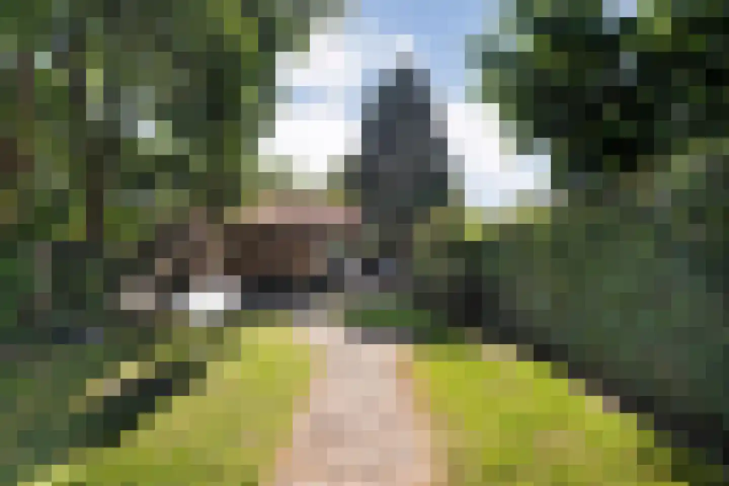 Molenkampspark 26 Almelo thumbnail 43