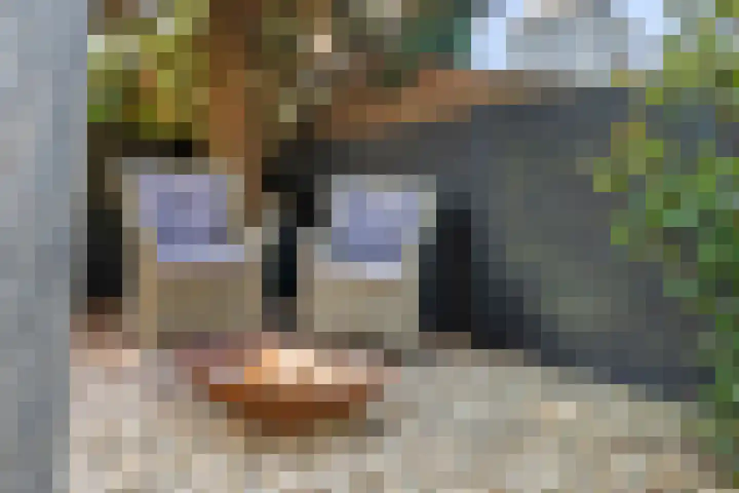 Molenkampspark 26 Almelo thumbnail 46