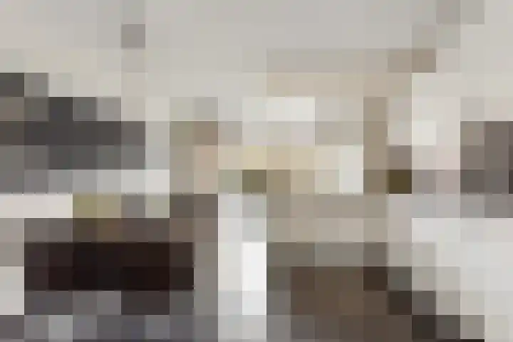 Molenkampstraat 6 Oldenzaal thumbnail 11