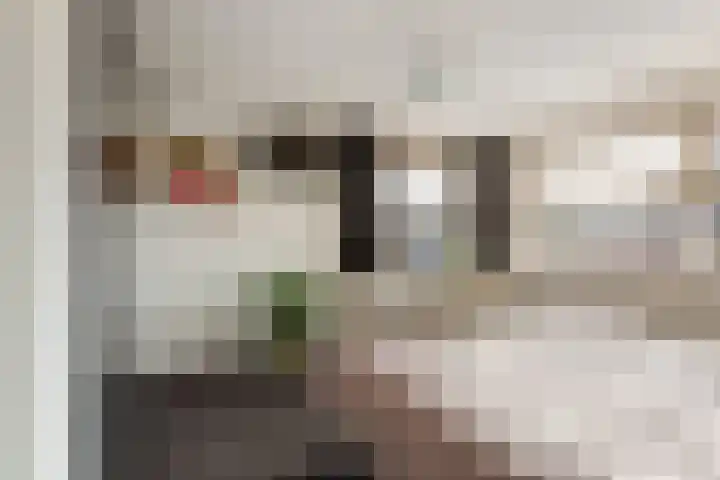 Molenkampstraat 6 Oldenzaal thumbnail 15