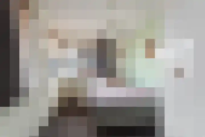 Molenkampstraat 6 Oldenzaal thumbnail 17
