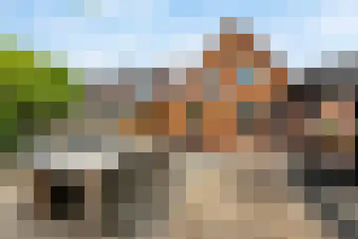 Molenkampsweg 35 Borne thumbnail 17