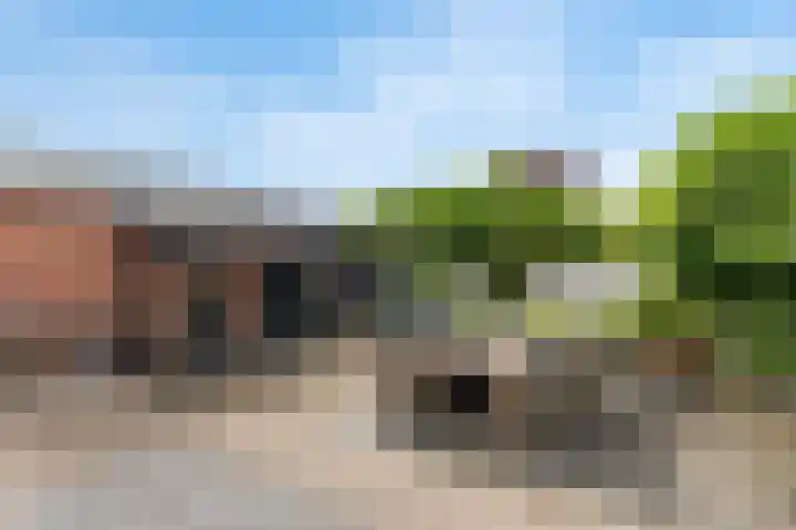 Molenkampsweg 35 Borne thumbnail 18