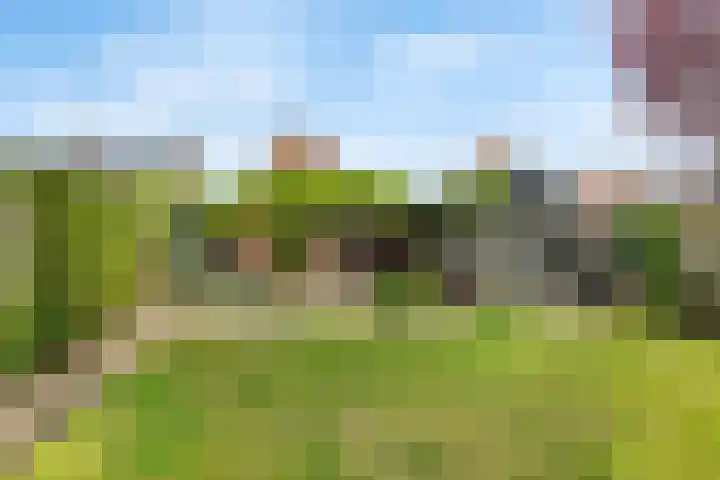 Molenkampsweg 35 Borne thumbnail 20