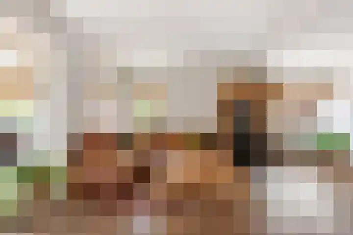 Molenkampsweg 35 Borne thumbnail 7