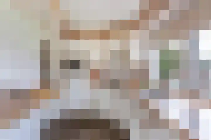 Molenkampsweg 45 Borne thumbnail 10