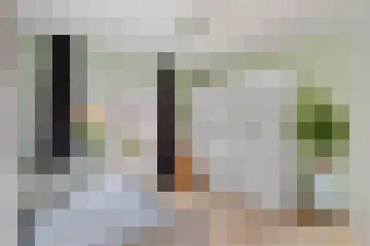 Molenkampsweg 45 Borne thumbnail 14