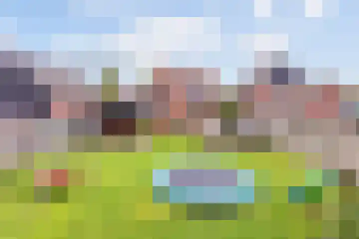 Molenkampsweg 45 Borne thumbnail 16
