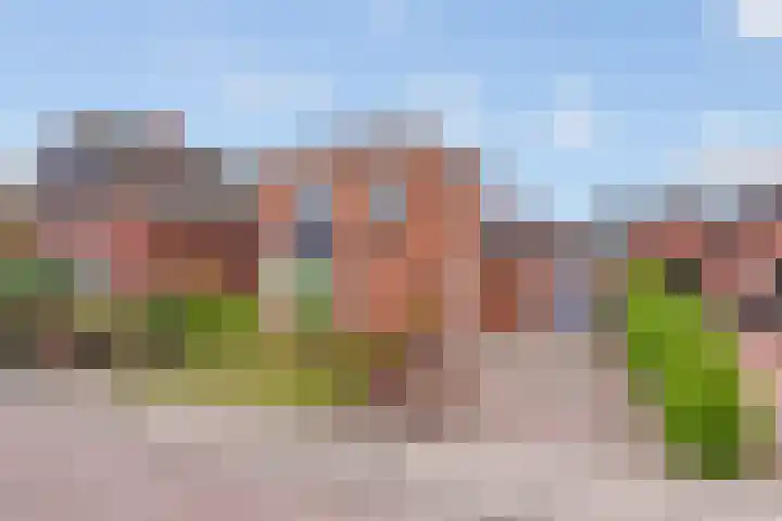 Molenkampsweg 45 Borne thumbnail 5