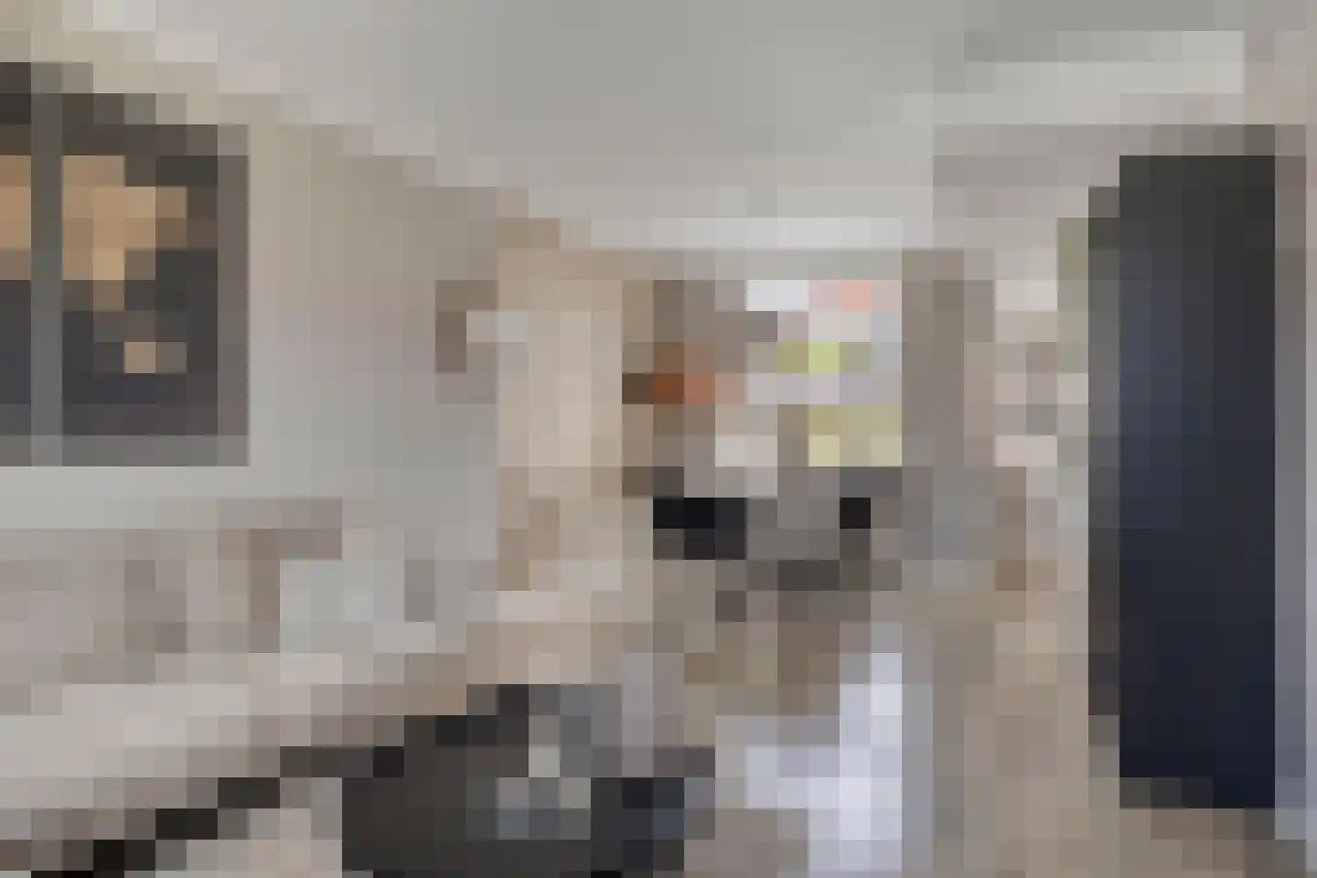 Molenkampsweg 52 Borne thumbnail 10