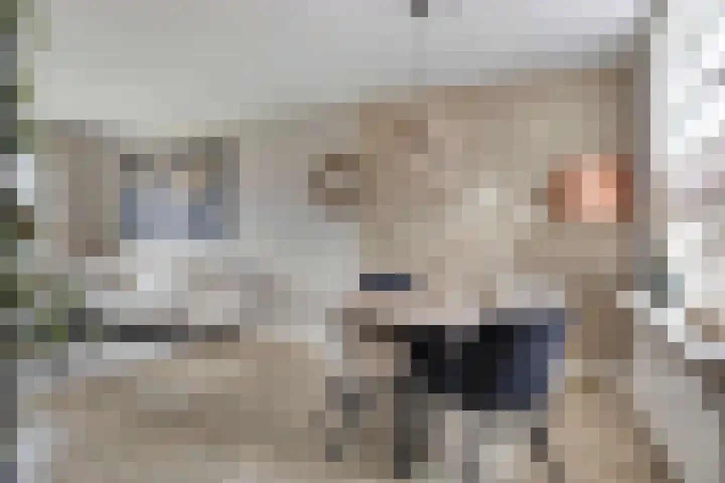 Molenkampsweg 52 Borne thumbnail 12