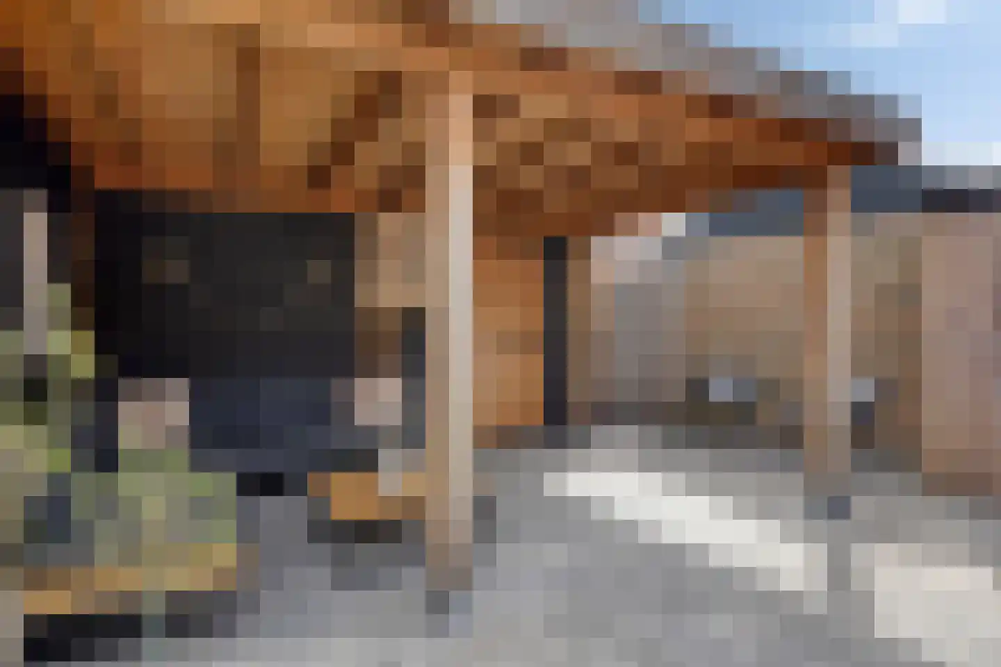 Molenkampsweg 52 Borne thumbnail 27